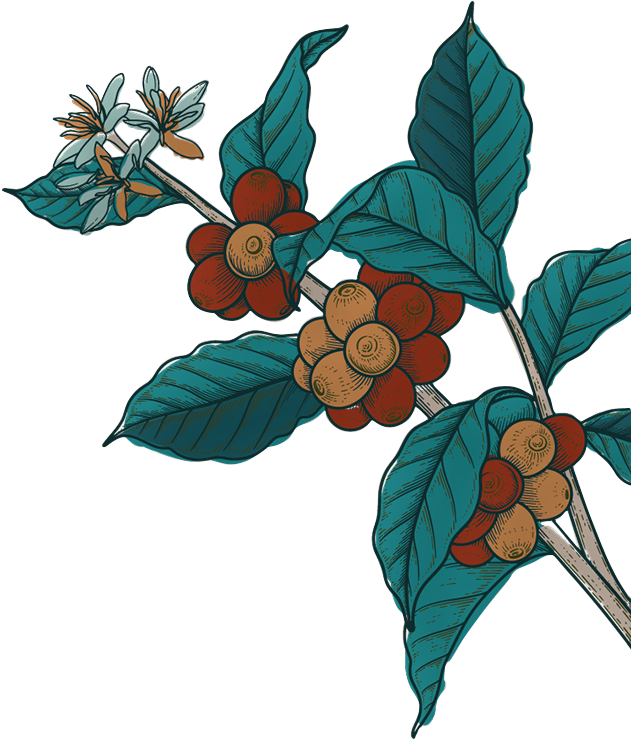 Image Slider 3